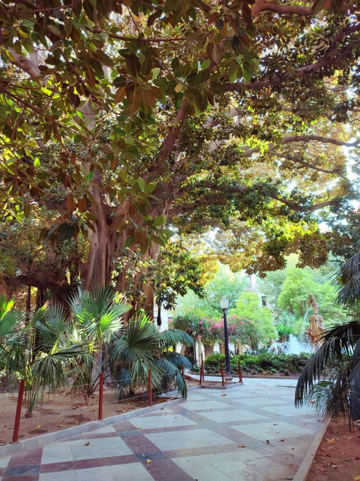 El Postiguet'S Apartments アリカンテ エクステリア 写真